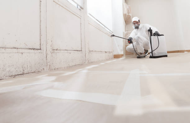 24/7 Emergency Black Mold Remediation experts in Southlake, TX
