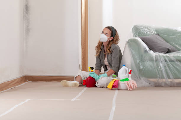 Reliable Black Mold Remediation contractor in Southlake, TX by 24 Hour Mold Removal